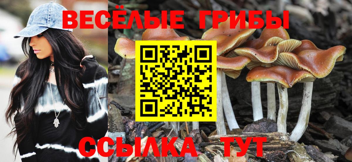Псилоцибиновые грибы прущие грибы  Вход с VPN  Темрюк  Псилоцибиновые грибы Magic Shrooms 