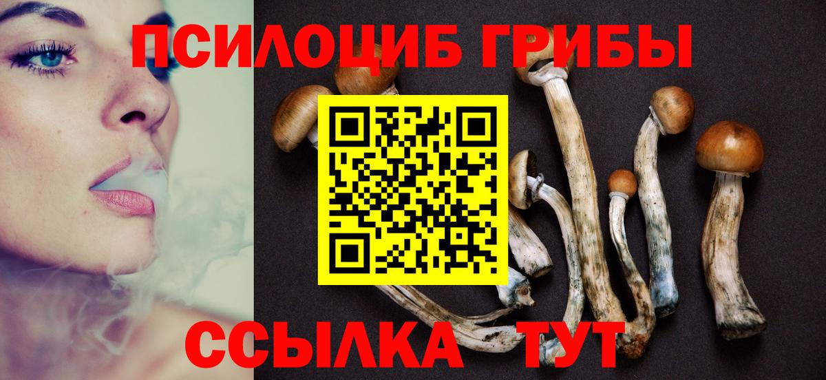 Псилоцибиновые грибы MAGIC MUSHROOMS Темрюк